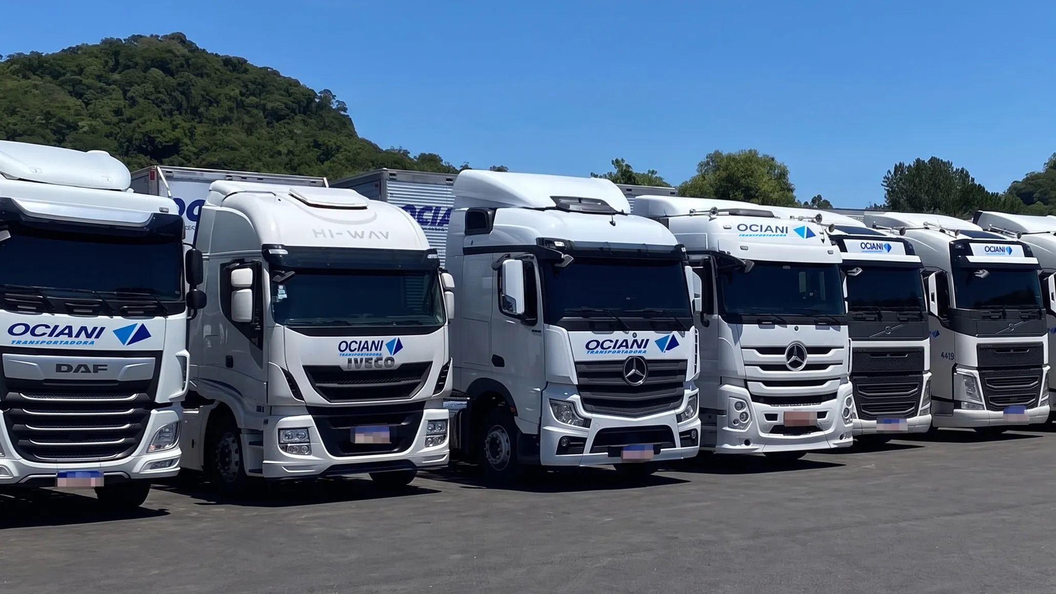 Cavalos da Ociani enfileirados no pátio: DAF, Iveco, Mercedes-Benz Actros e Volvo